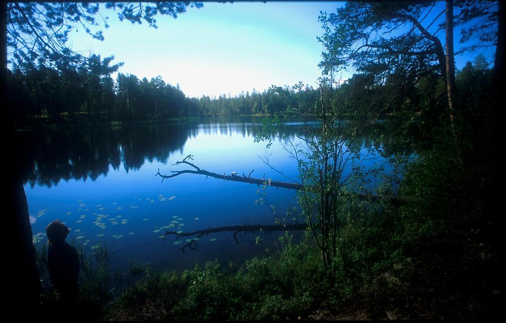 Manamansalo Camping Luaran gambar